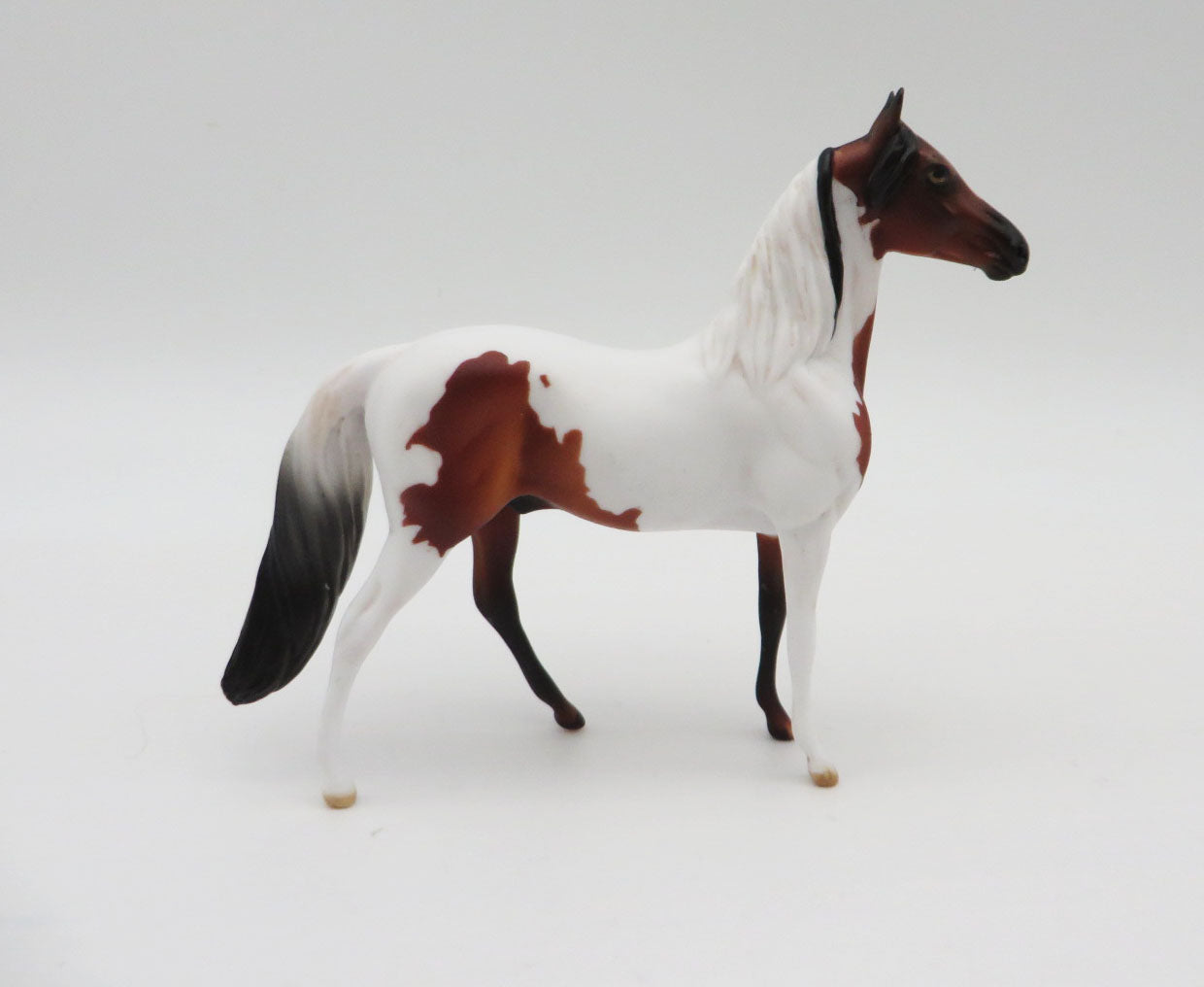 Bau Bau-OOAK Morgan Pinto Chip By Dawn Quick  P&C 23