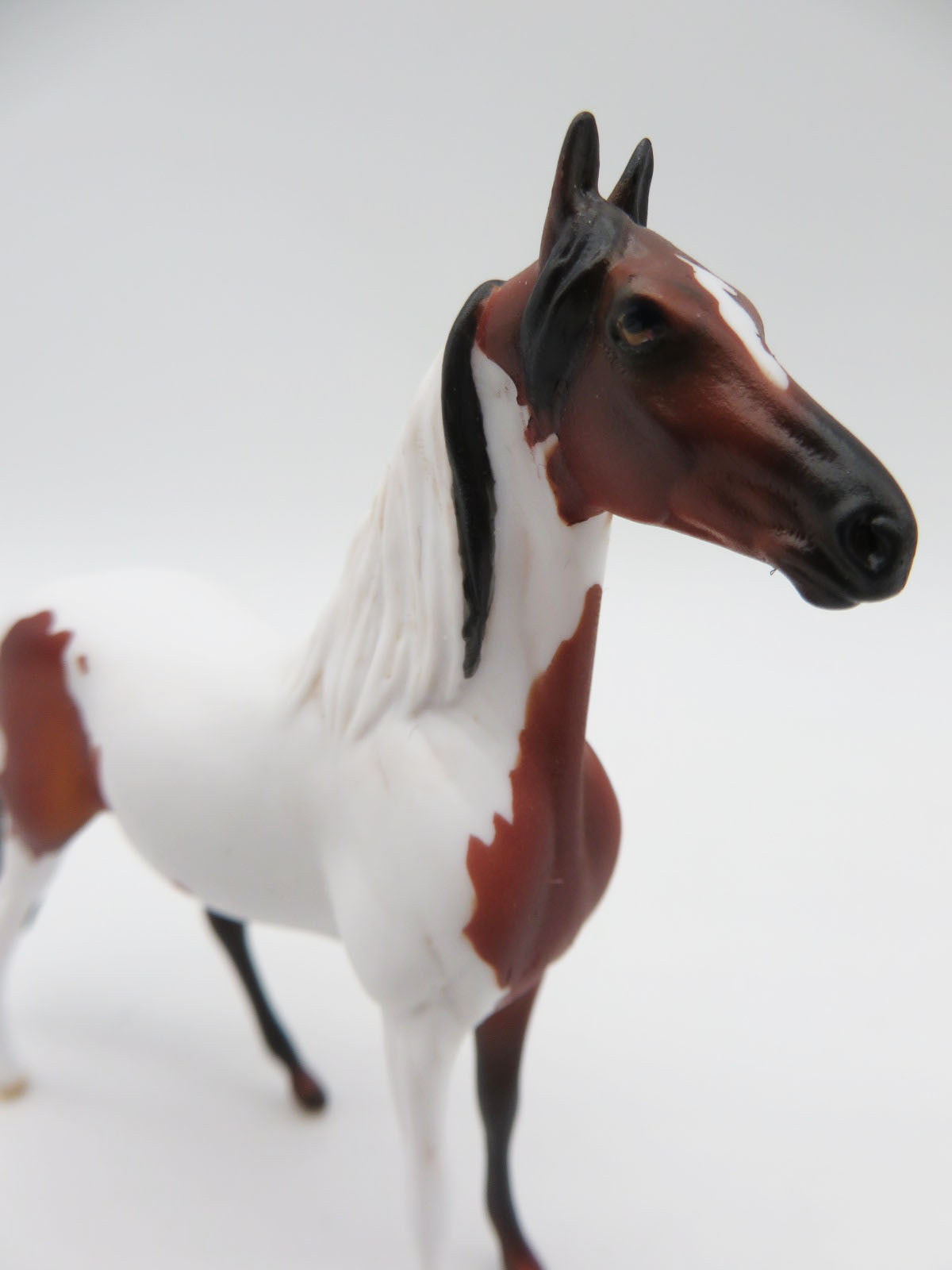 Bau Bau-OOAK Morgan Pinto Chip By Dawn Quick  P&amp;C 23