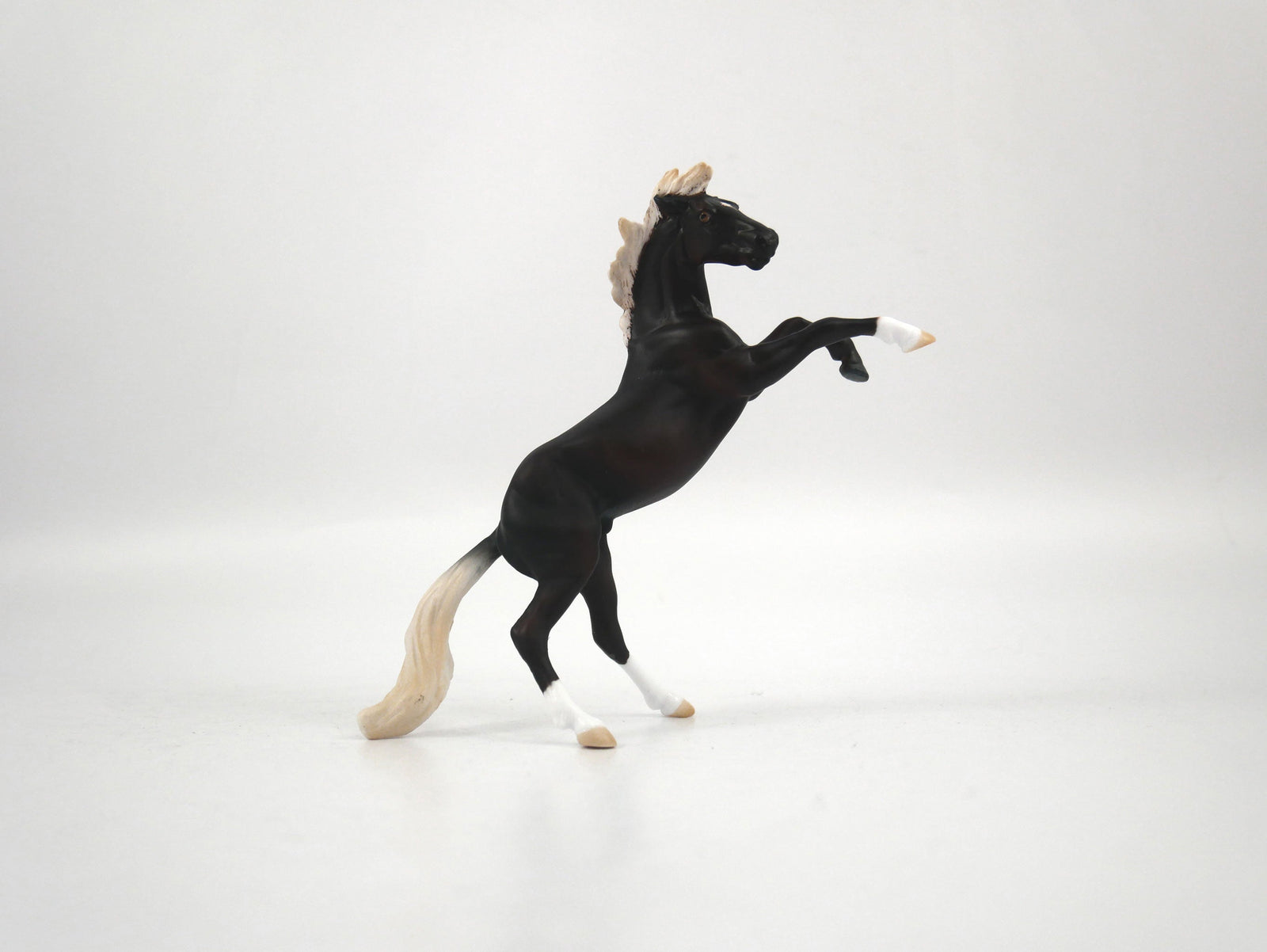 Bayo-OOAK Chocolate Palomino Rearing Chip 1/27/21