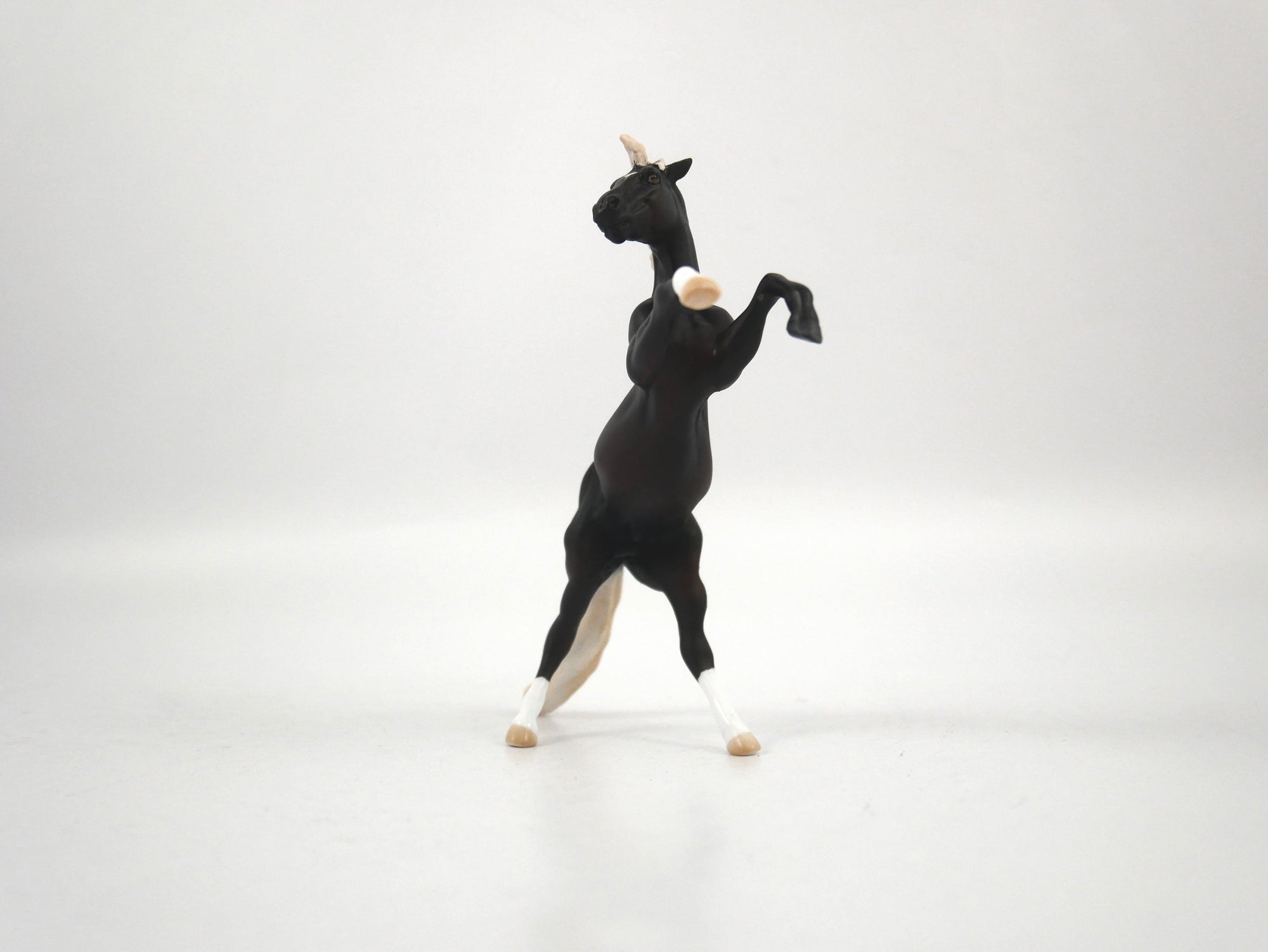 Bayo-OOAK Chocolate Palomino Rearing Chip 1/27/21