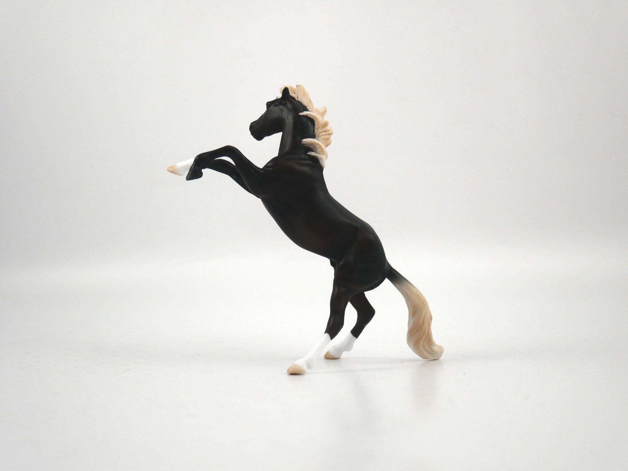 Bayo-OOAK Chocolate Palomino Rearing Chip 1/27/21