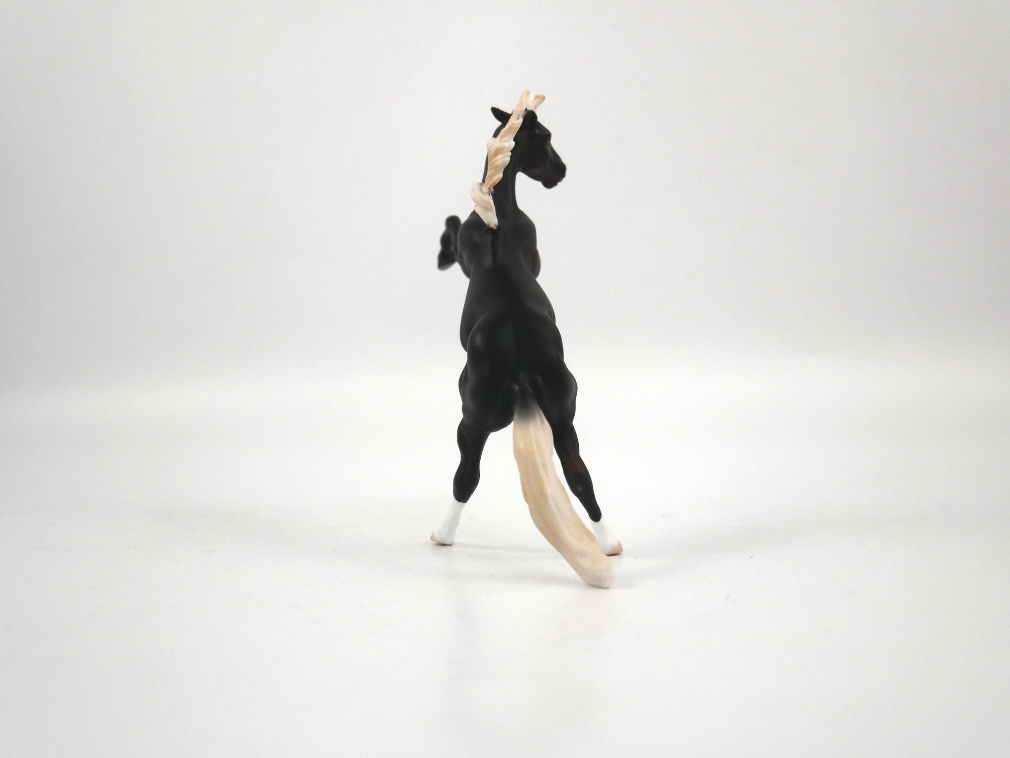 Bayo-OOAK Chocolate Palomino Rearing Chip 1/27/21