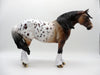 Bayu-OOAK Bay Appaloosa Heavy Drafter SHCF 2021