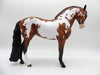 Beardsley-LE-15 Bay Pinto Andalusian Painted By Ellen Robbins EQ 2021
