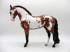Beardsley-LE-15 Bay Pinto Andalusian Painted By Ellen Robbins EQ 2021