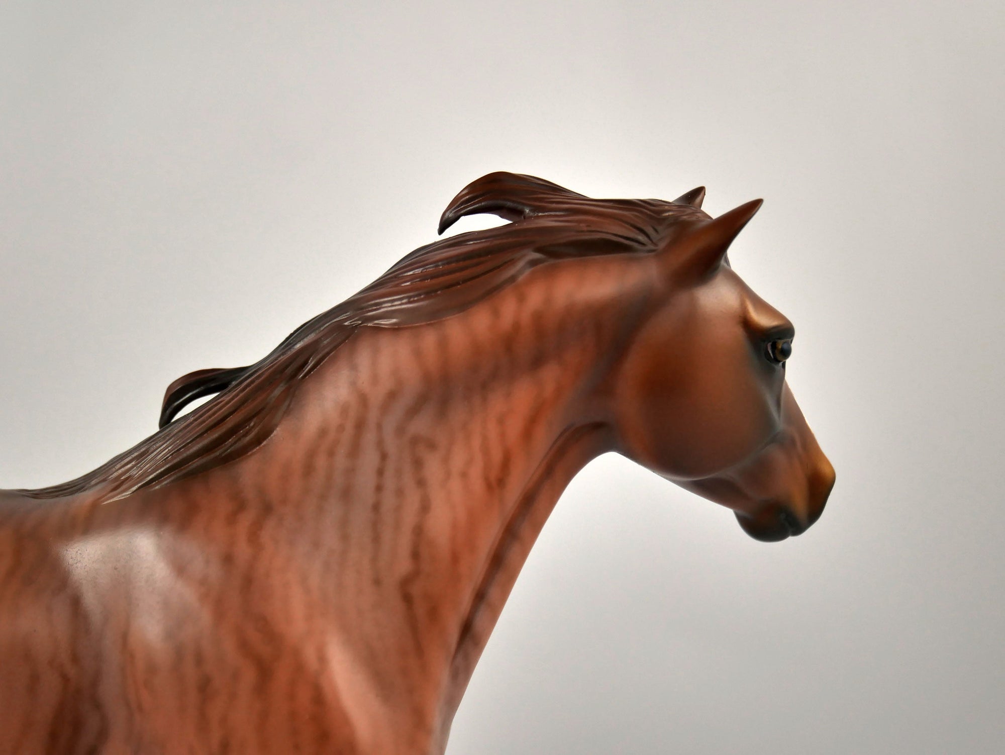 Beatty&#39;s Butte-OOAK Brindle Mustang Painted By Audrey Dixon 12/30/20