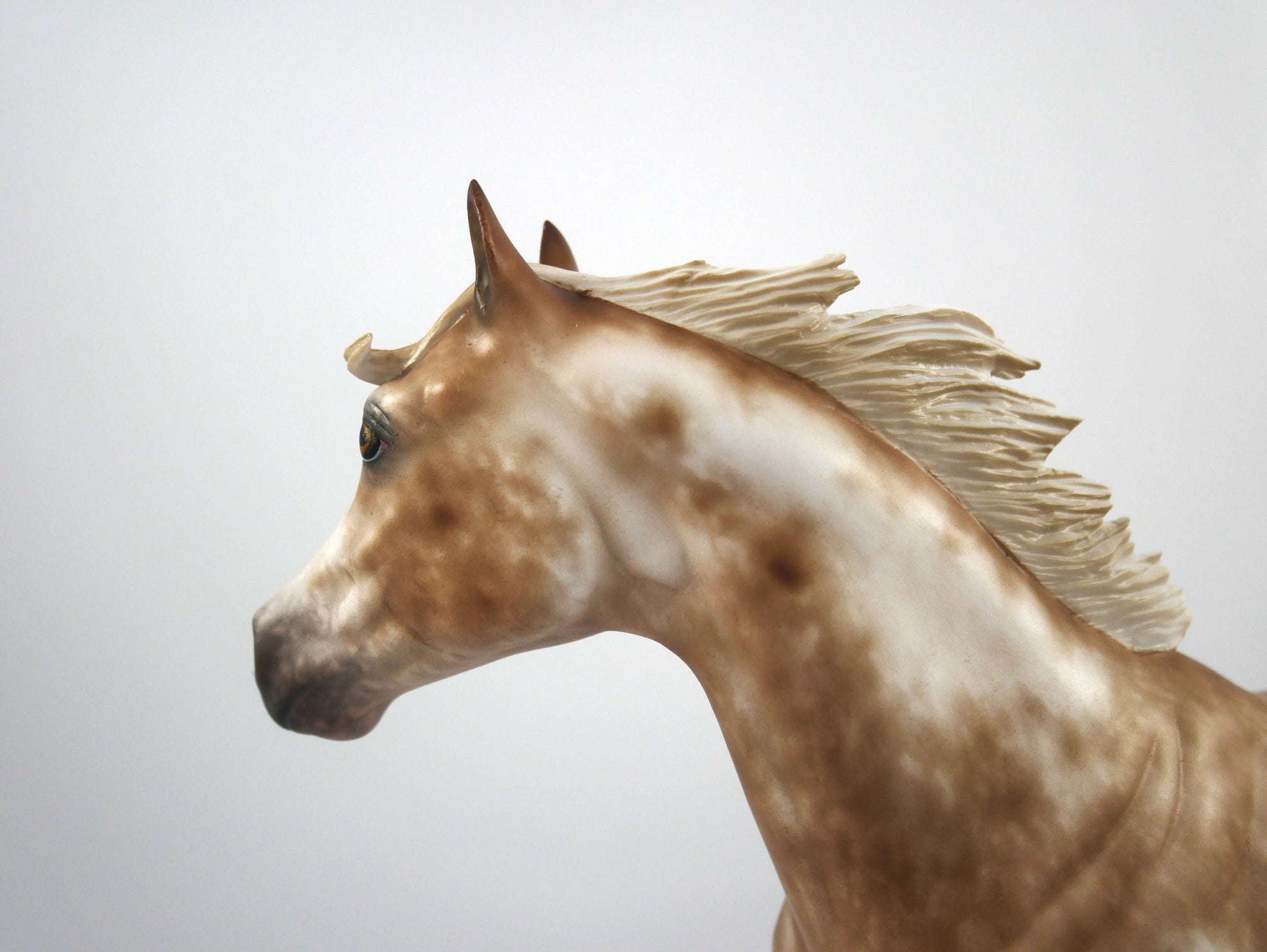 Beauregarde-OOAK Appaloosa ISH Painted By Sheryl Leisure 1/29/21