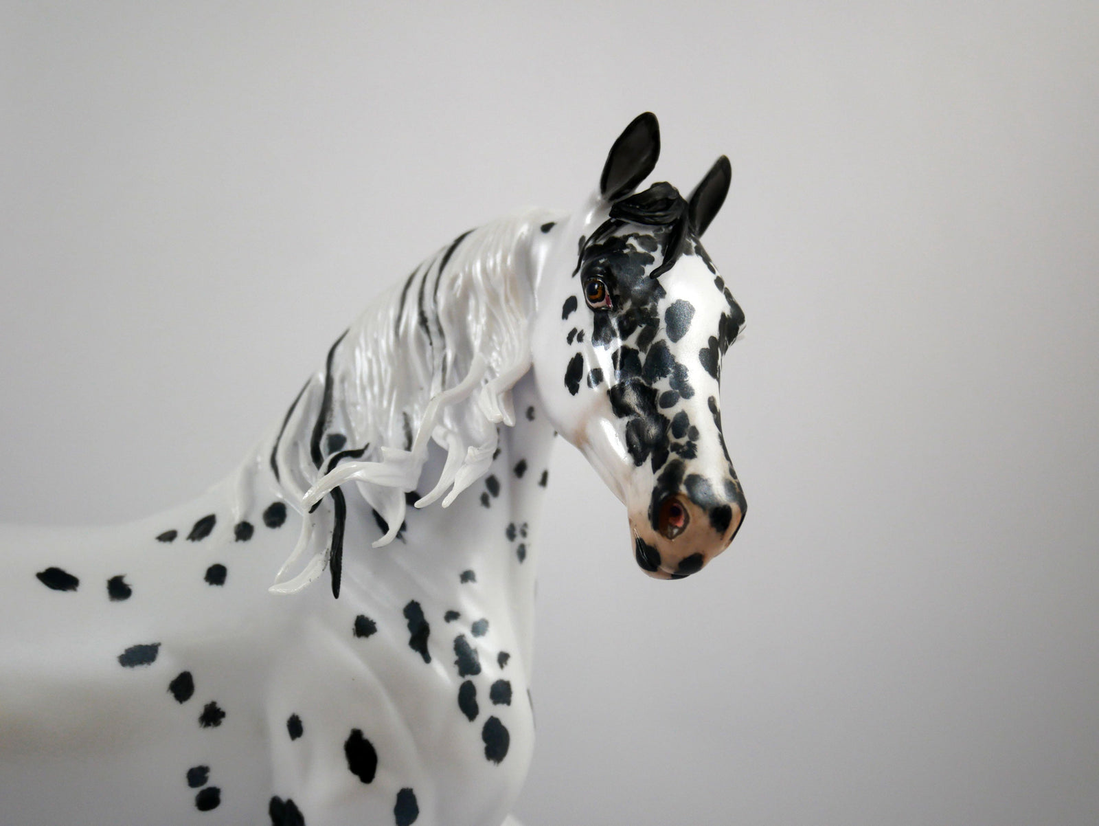 Beauty Spots-OOAK Appaloosa Arabian Mare Painted By Elaine Stone 1/8/21