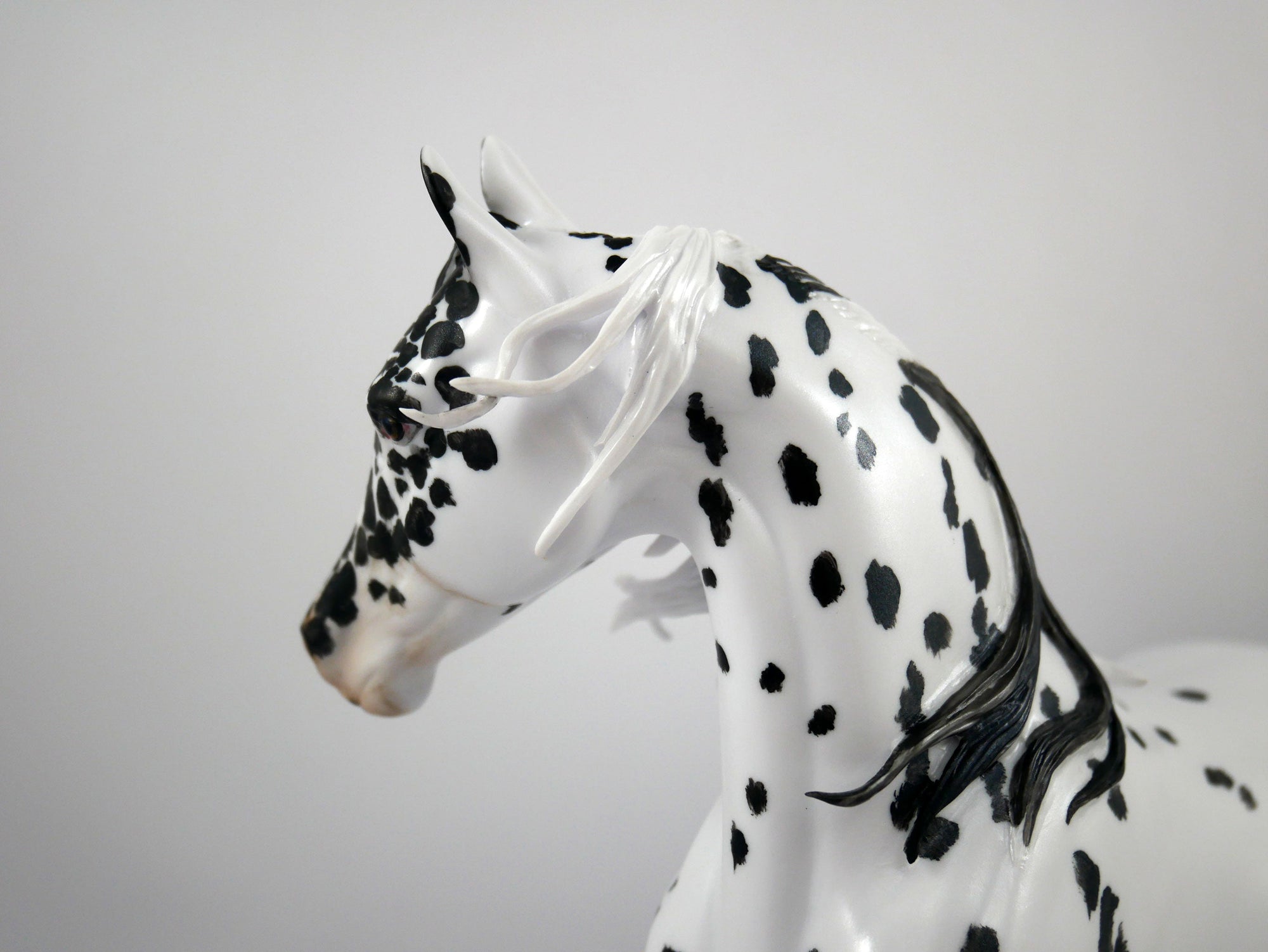 Beauty Spots-OOAK Appaloosa Arabian Mare Painted By Elaine Stone 1/8/21