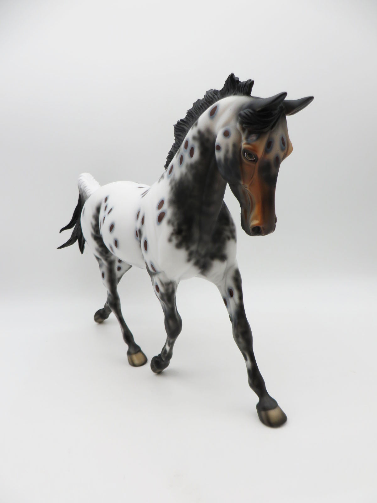 Bella-LE-8 Bay Appaloosa Palouse By Dawn Quick P&amp;C 23