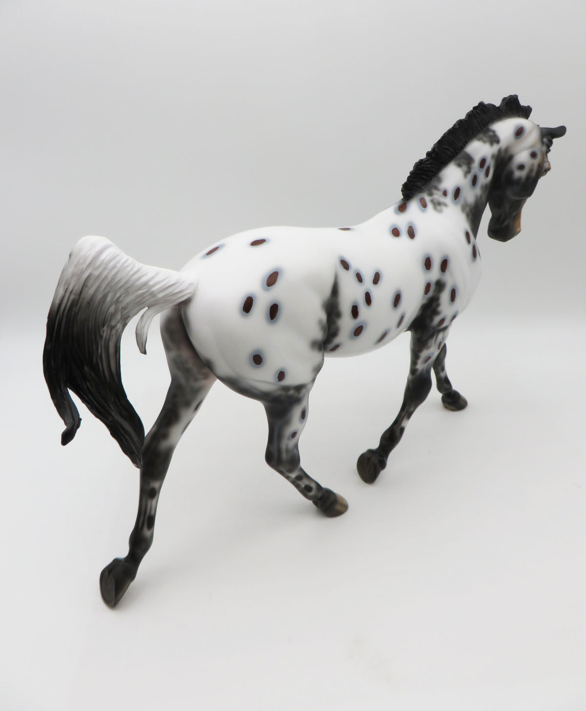 Bella-LE-8 Bay Appaloosa Palouse By Dawn Quick P&amp;C 23