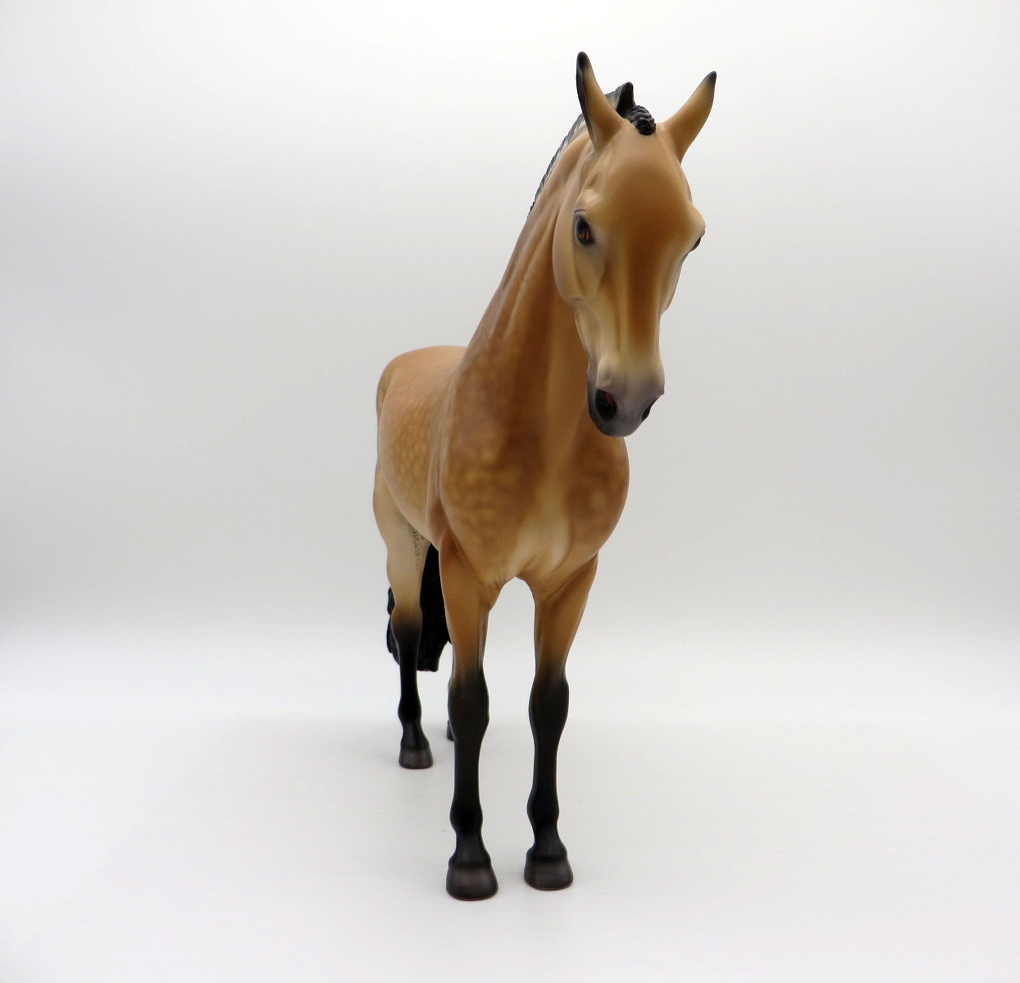 Ben Nevis-OOAK Dapple Buckskin Andalusian Painted By Caroline Boydston 6/28/21