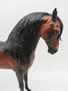 Ben - OOAK - Dappled Bay Andalusian by Sheryl Leisure - Best Offers 12/12/22