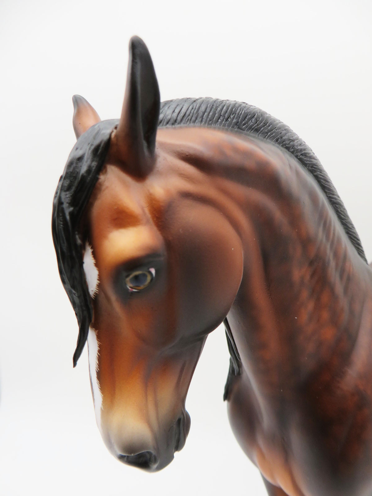 Ben - OOAK - Dappled Bay Andalusian by Sheryl Leisure - Best Offers 12/12/22