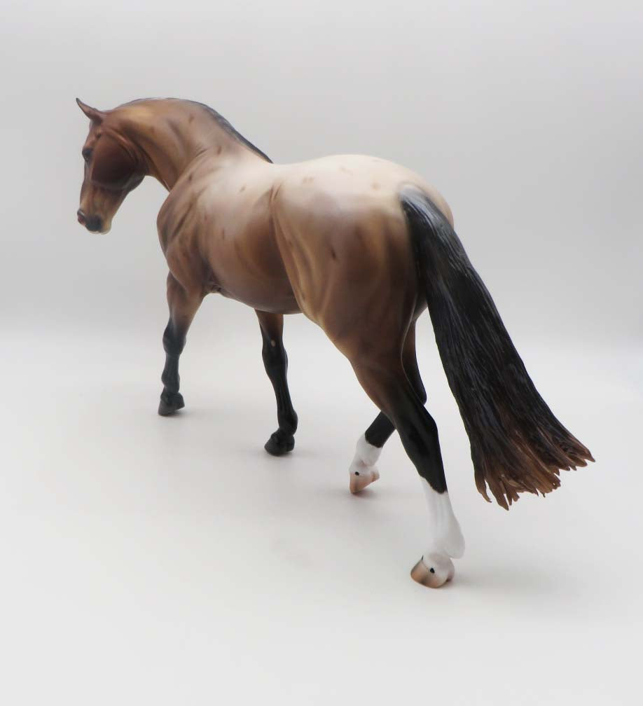 Berry - OOAK Bay Roan Irish Draft By Caroline Boydston 3/17/23