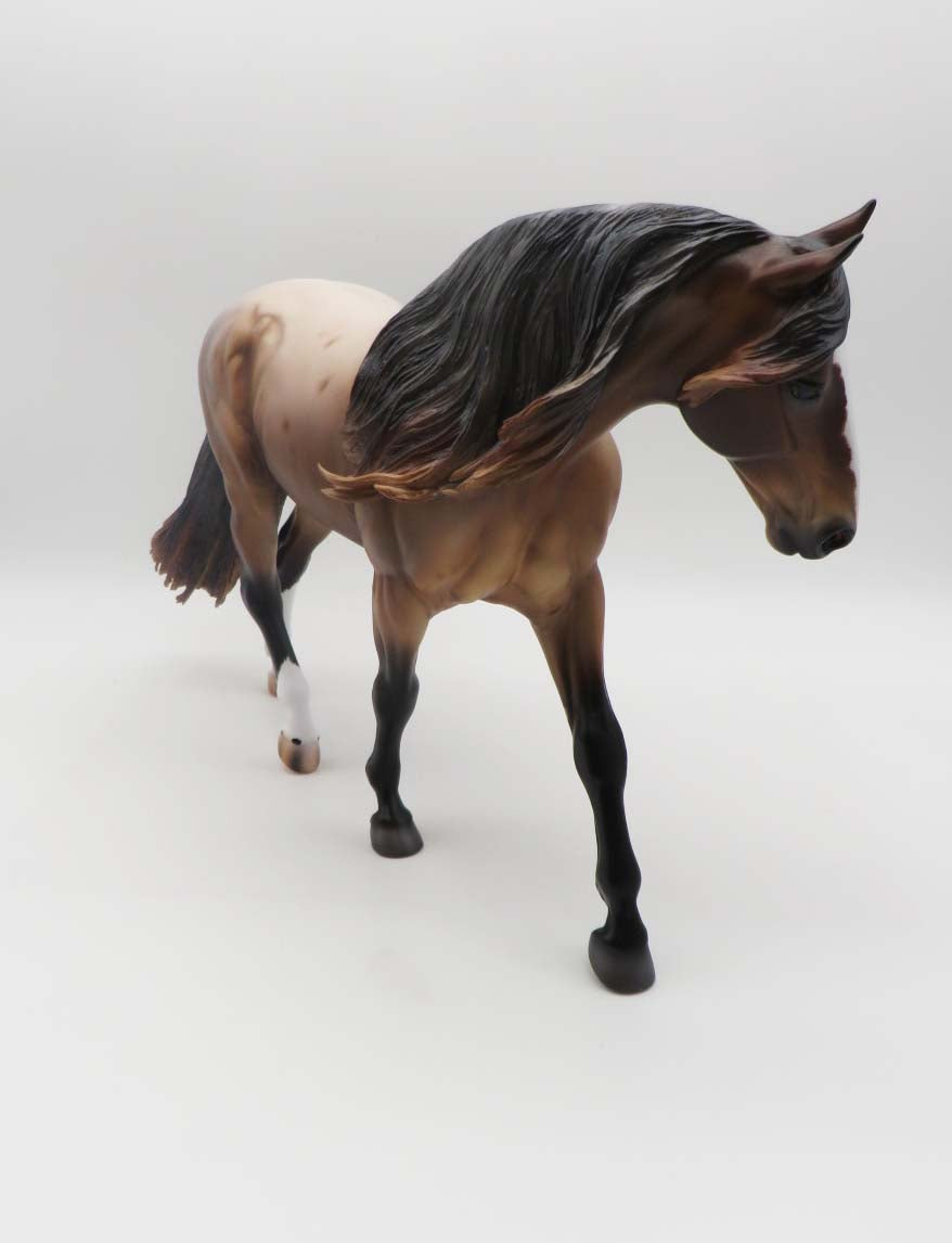 Berry - OOAK Bay Roan Irish Draft By Caroline Boydston 3/17/23