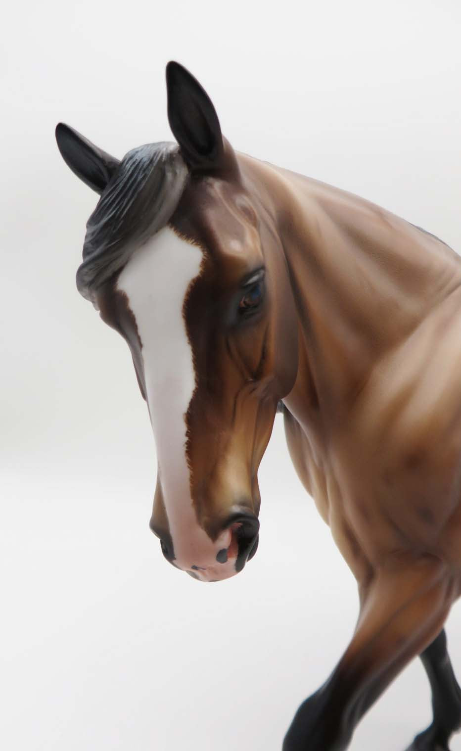 Berry - OOAK Bay Roan Irish Draft By Caroline Boydston 3/17/23