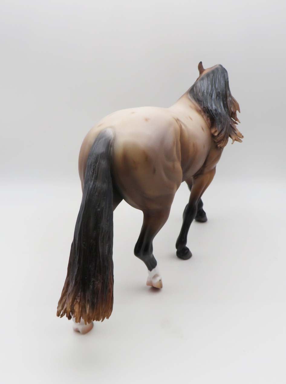 Berry - OOAK Bay Roan Irish Draft By Caroline Boydston 3/17/23