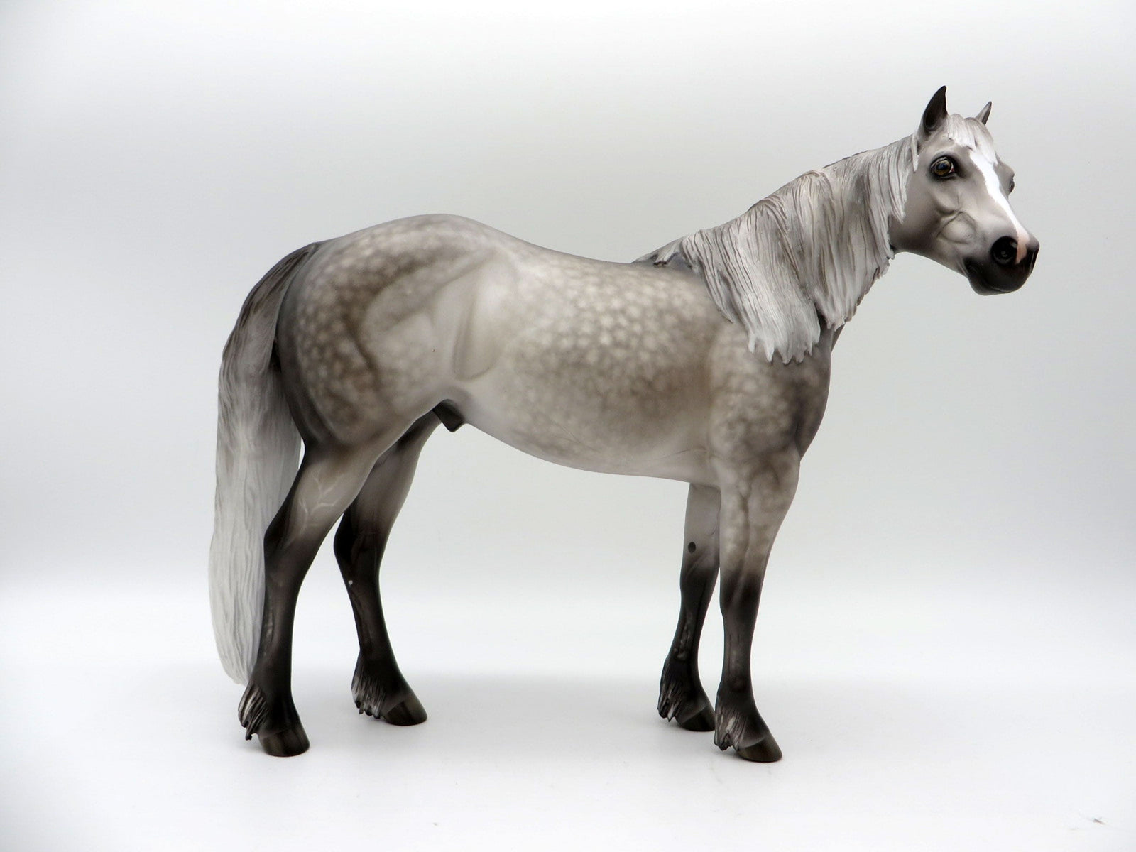 Betcha By Golly Wow-OOAK Dapple Grey ISH Painted By Sheryl Leisure 10/18/21