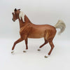 Beth  LE 15 Custom Pinned Ear Dappled Chestnut with Flaxen Mane and Tail By Jess Hamill - SHCF23