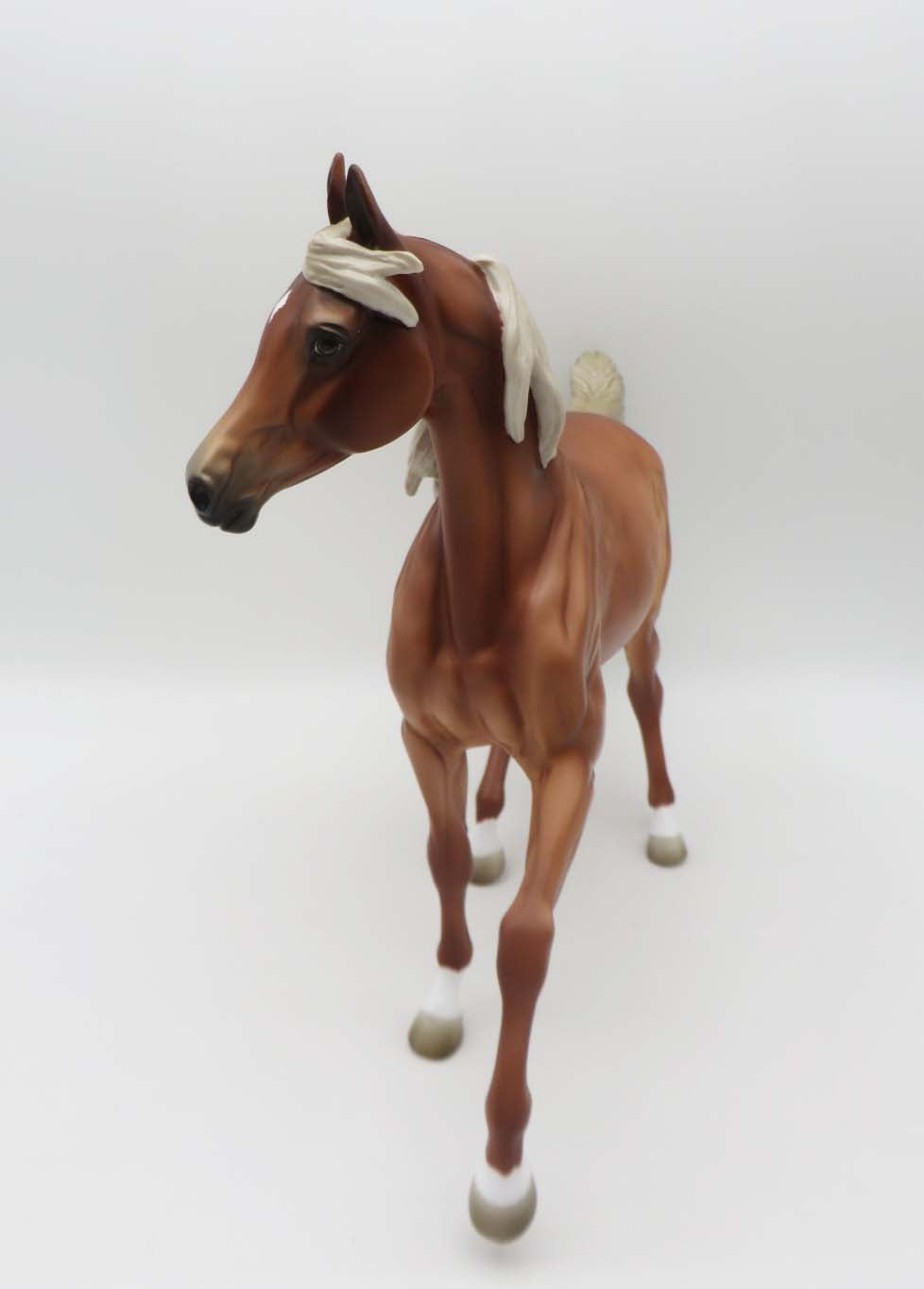 Beth LE 10 Dappled Chestnut with Flaxen Mane and Tail By Jess Hamill SHCF23