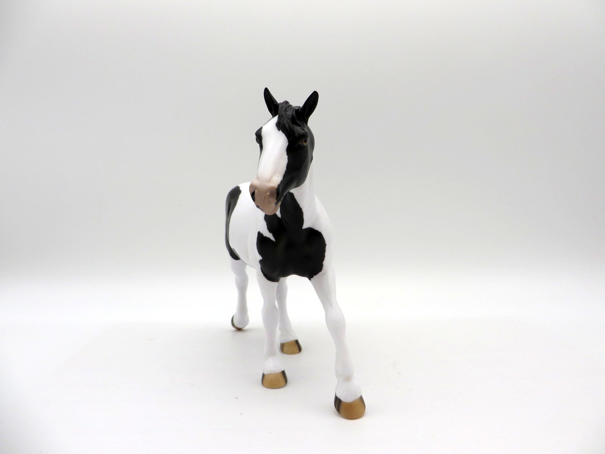 Biggie-OOAK Black and White Pinto Pebbles Drafter Painted By Audrey Dixon EQ 21