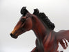 Bill of Rights | Dapple Bay Overo Stock Horse by Dawn Quick | 7/1/21