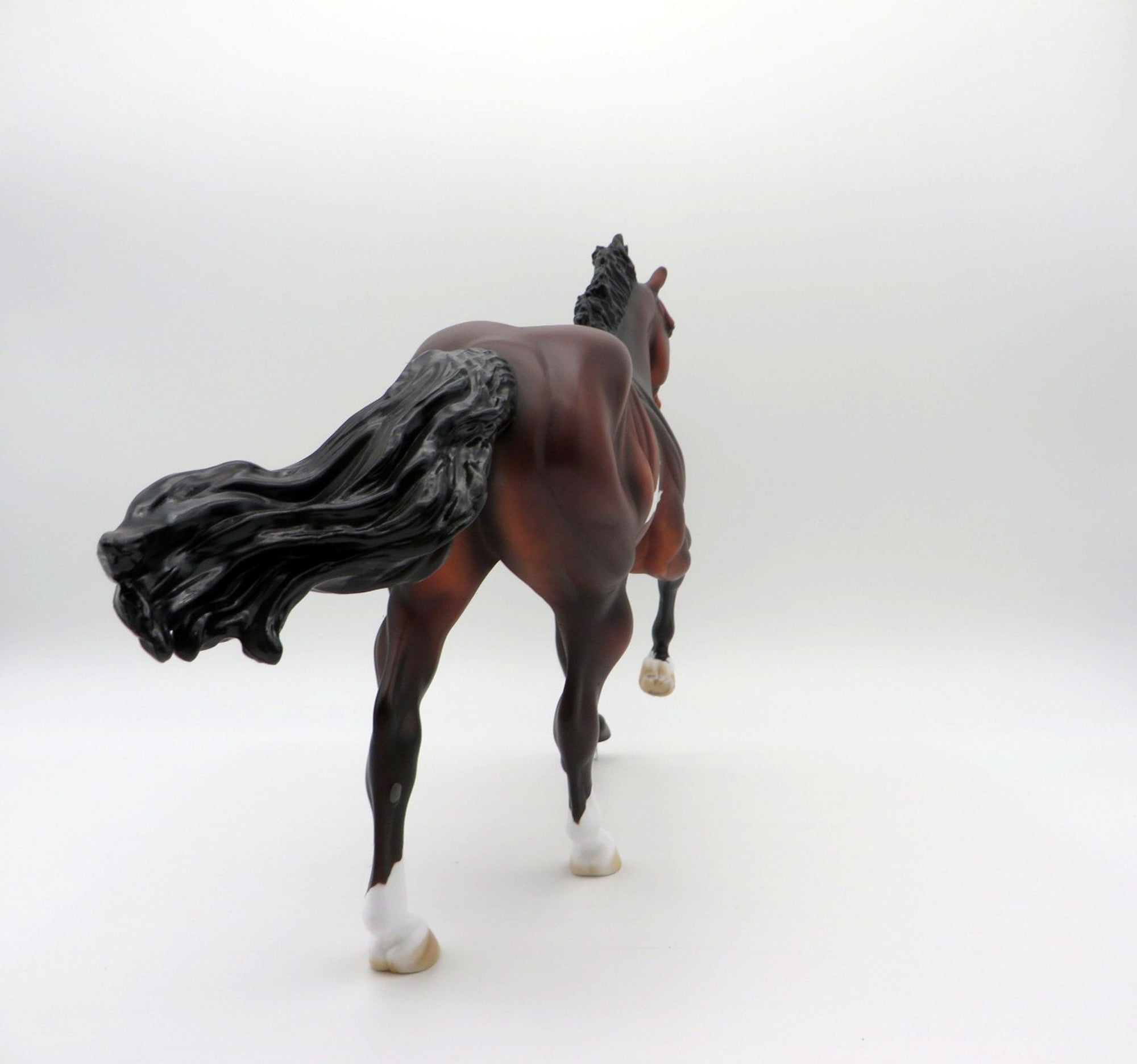 Bill of Rights | Dapple Bay Overo Stock Horse by Dawn Quick | 7/1/21