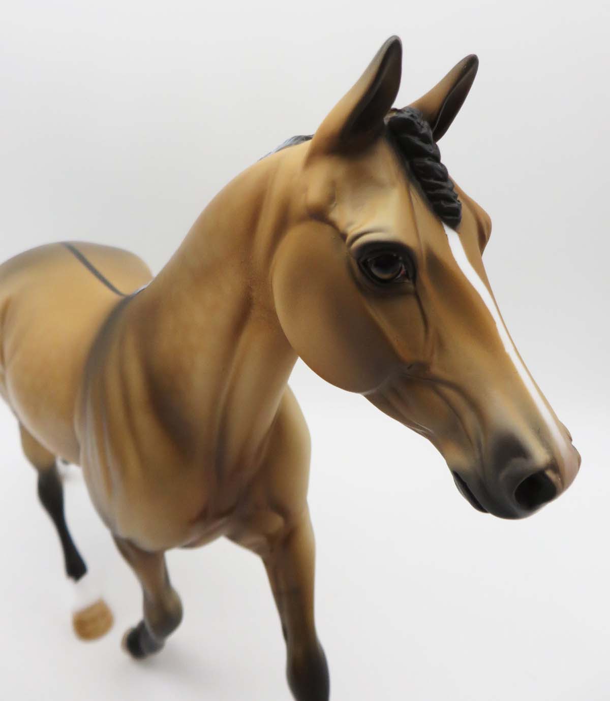 Birmingham  OOAK Dun Palouse By Dawn Quick SHCF23