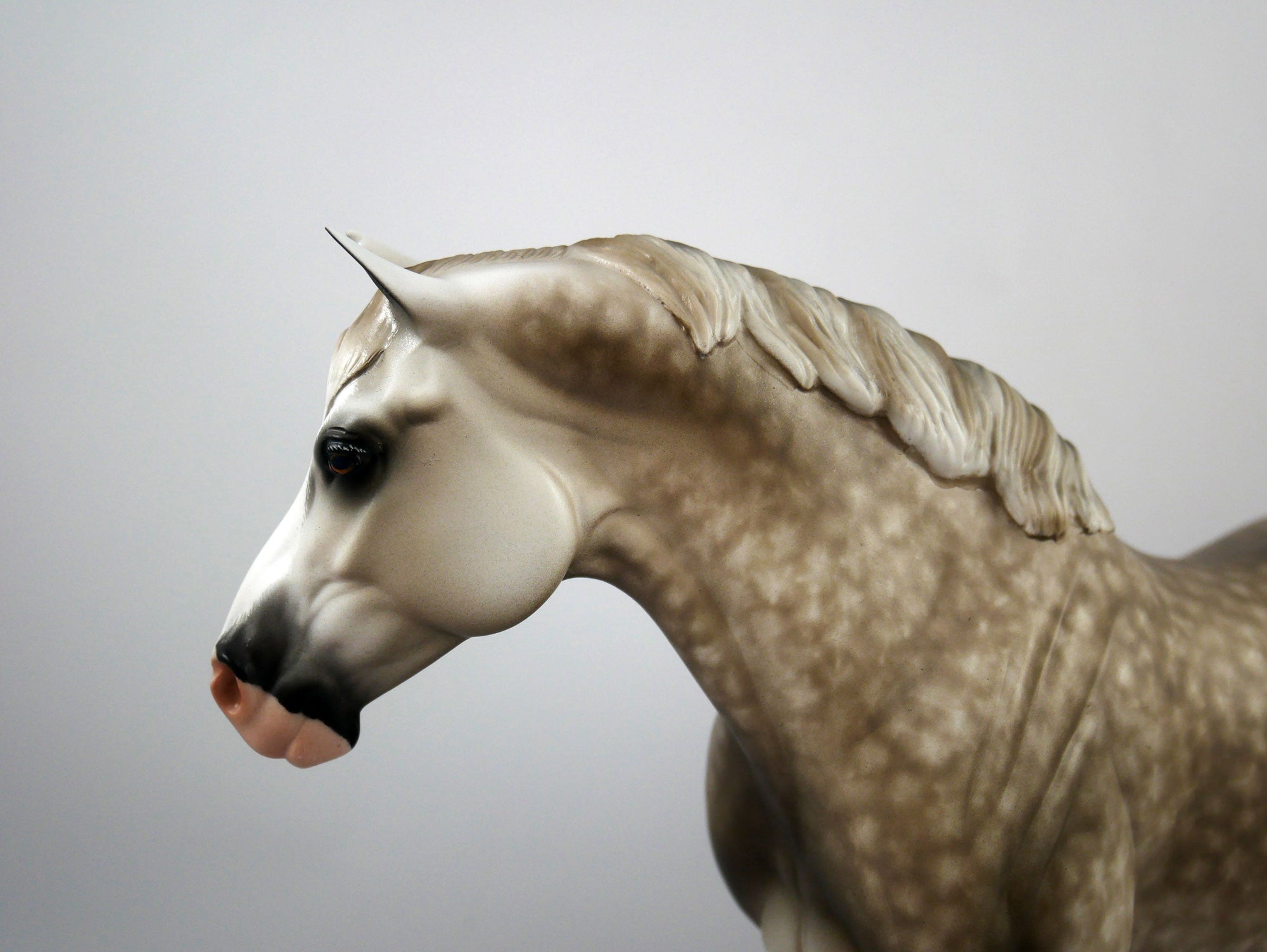 Bitsy Bloom-OOAK Dapple Grey Heavy Draft  Painted By Sheryl Leisure 1/15/21