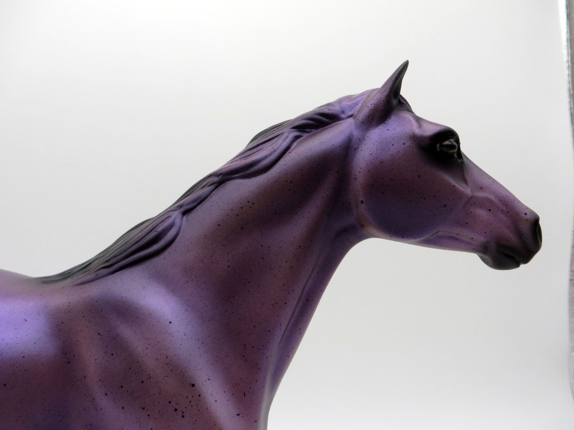 Black Raspberry Chocolate-OOAK Mustang Deco Painted By Audrey Dixon 7/23/21