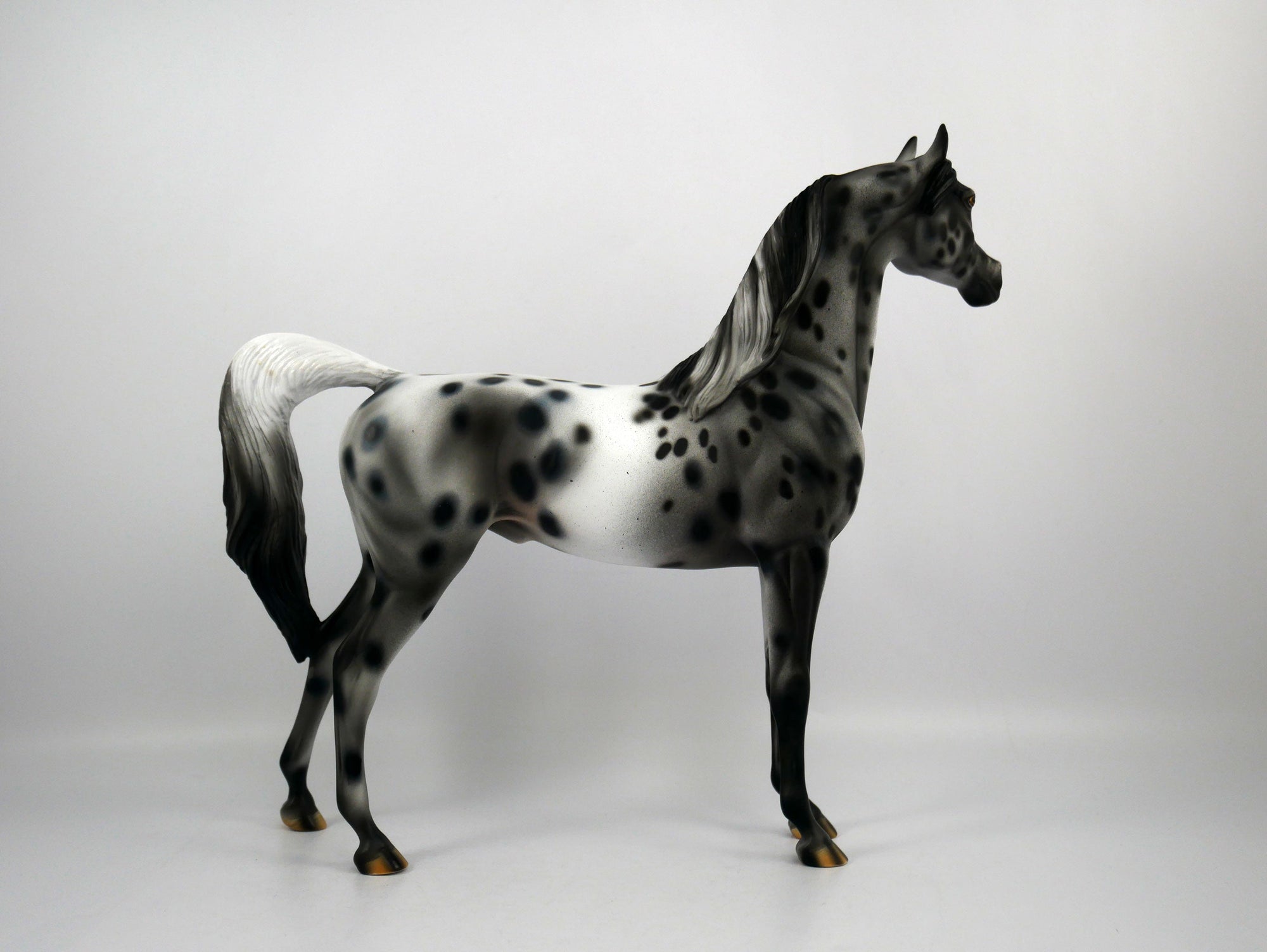 Black Sabbath-OOAK Appaloosa Arabian 1/8/21