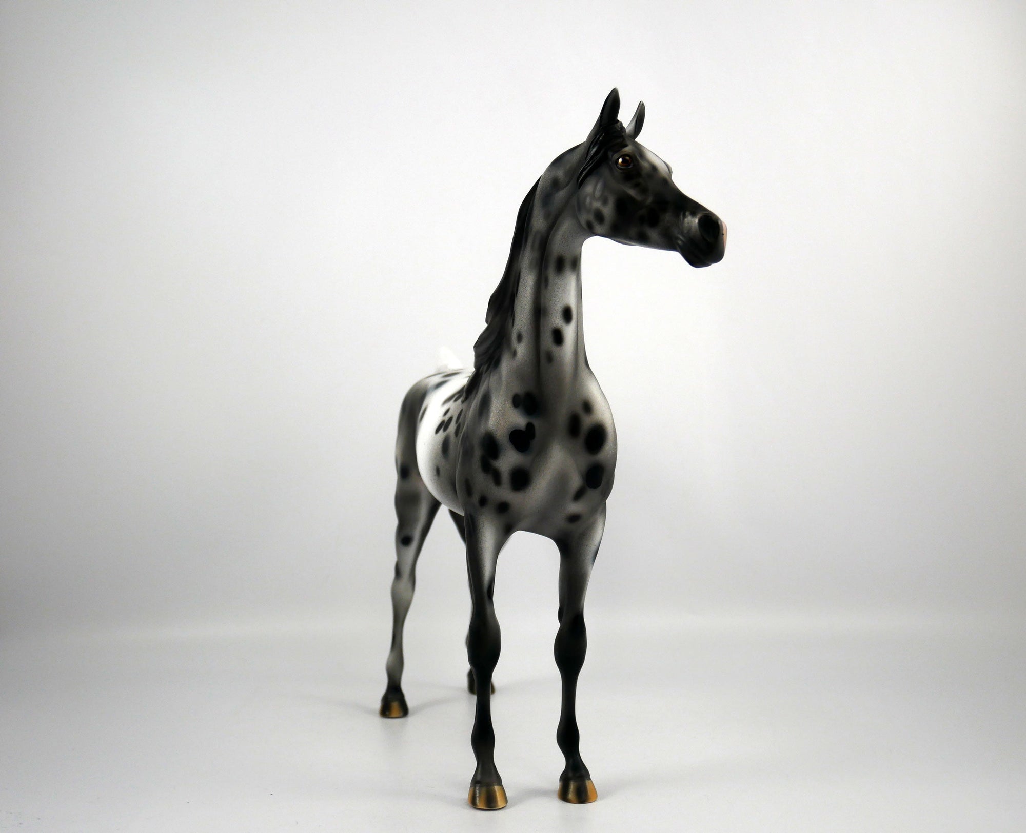 Black Sabbath-OOAK Appaloosa Arabian 1/8/21