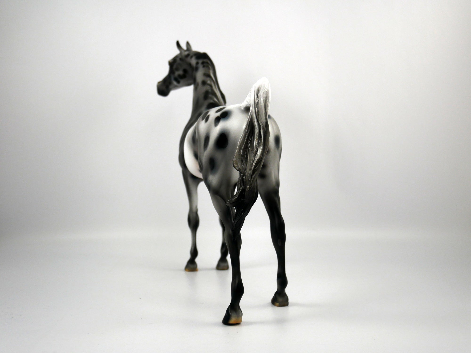 Black Sabbath-OOAK Appaloosa Arabian 1/8/21