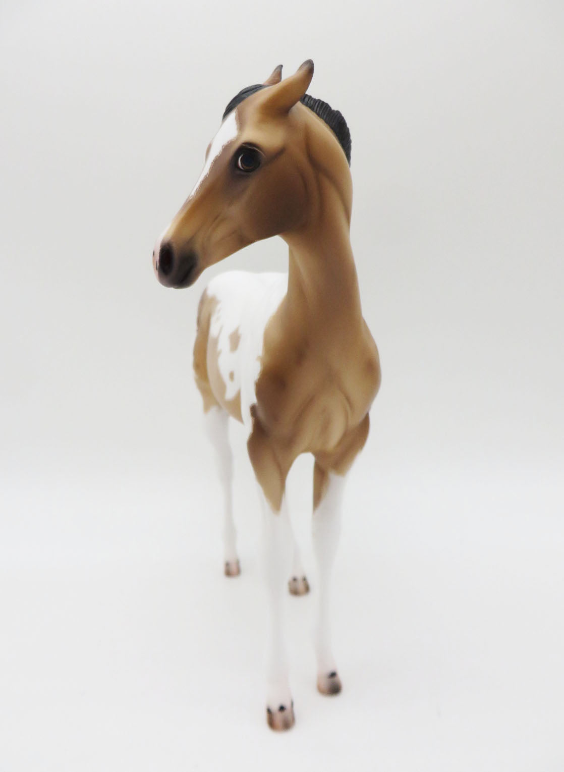 Blaine- OOAK Buckskin Roan Tobiano Weanling By Caroline Boydston 11/21/22