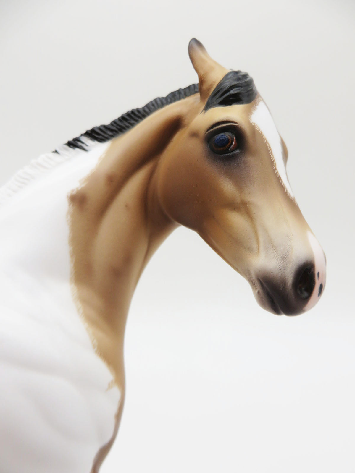 Blaine- OOAK Buckskin Roan Tobiano Weanling By Caroline Boydston 11/21/22