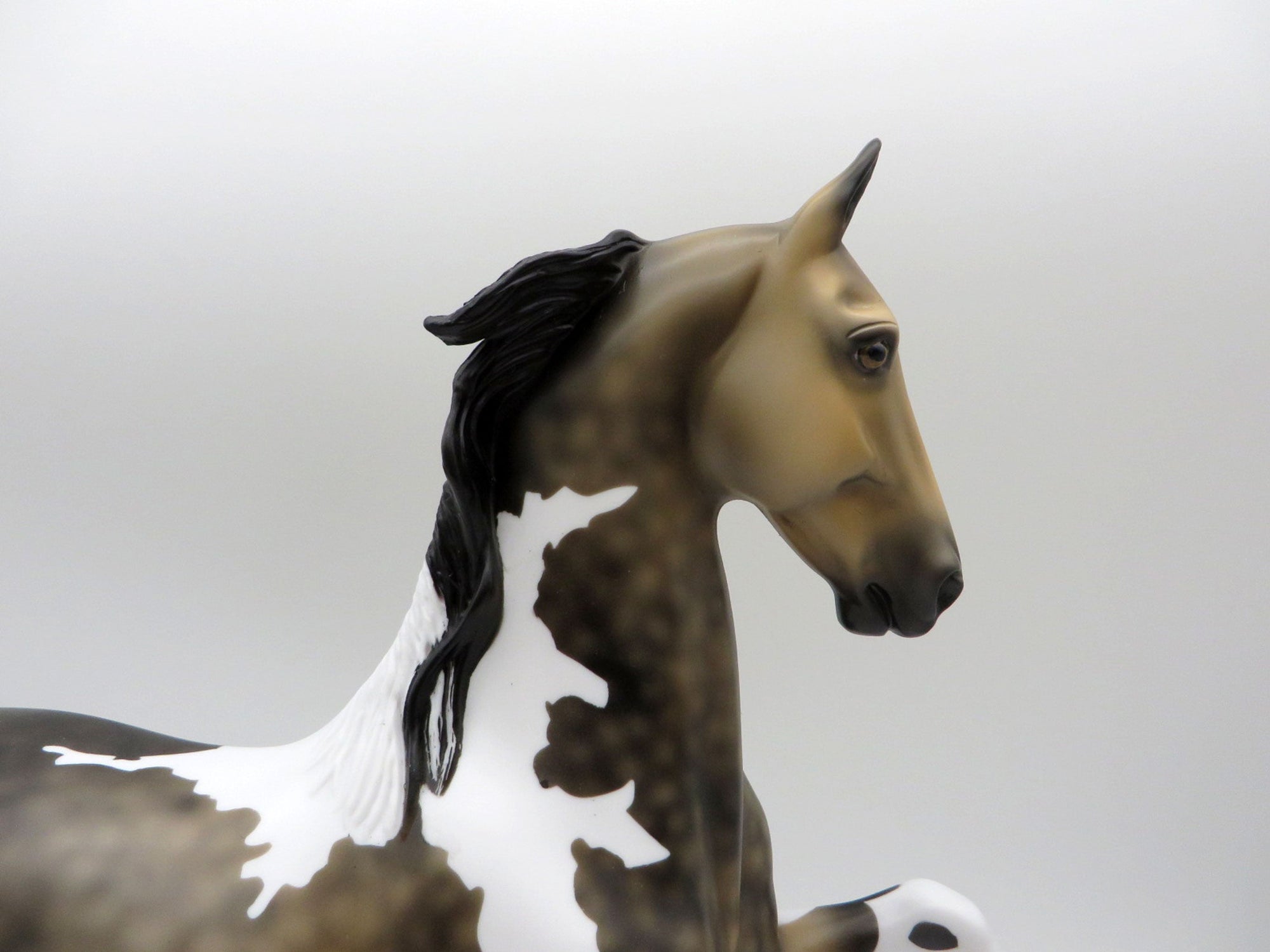 Blair -OOAK Dapple Sooty Buckskin Tobiano Saddlebred 5/21/21