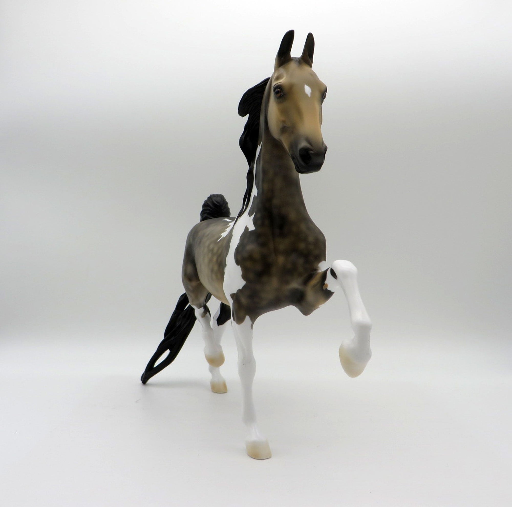 Blair -OOAK Dapple Sooty Buckskin Tobiano Saddlebred 5/21/21