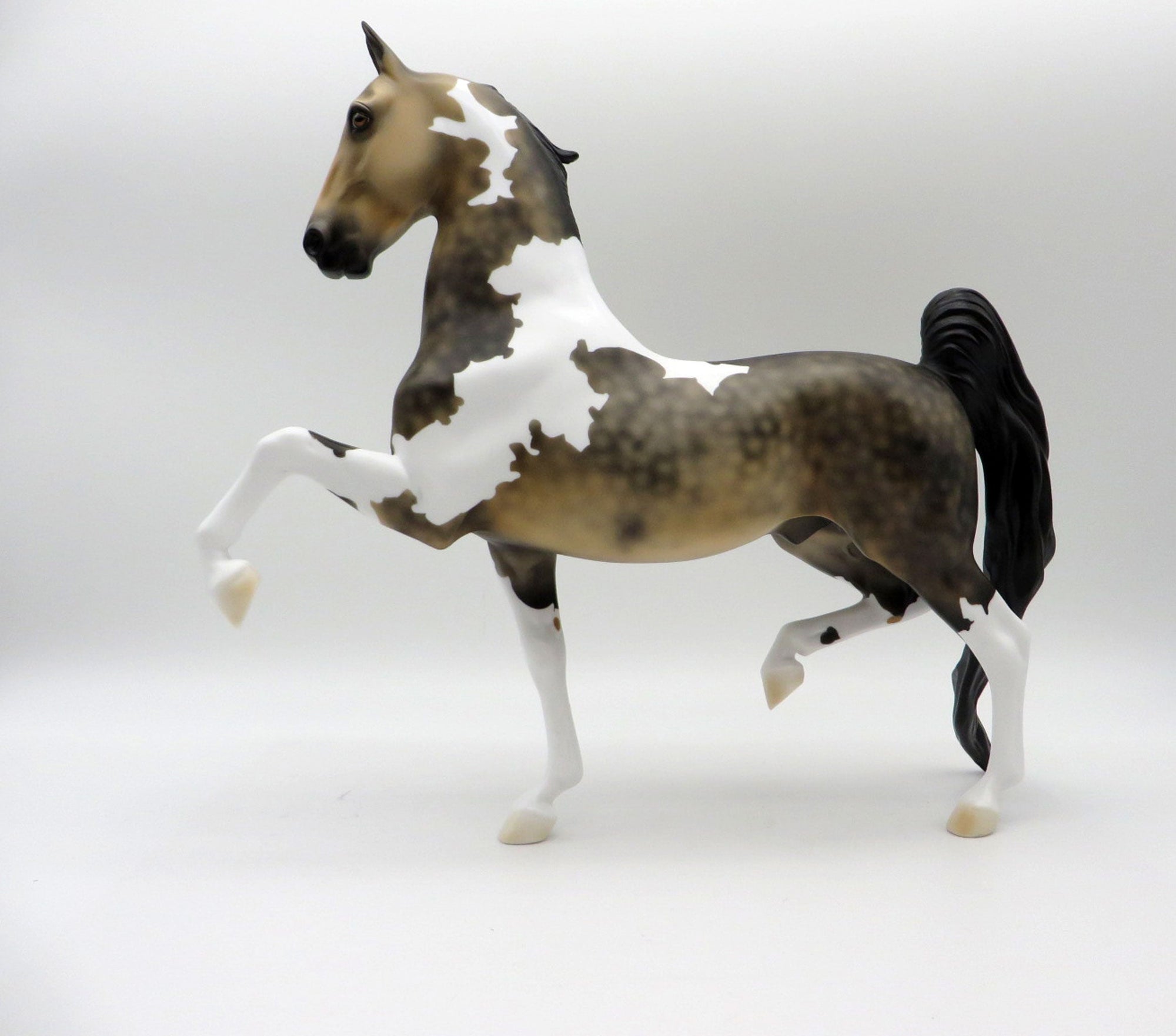 Blair -OOAK Dapple Sooty Buckskin Tobiano Saddlebred 5/21/21