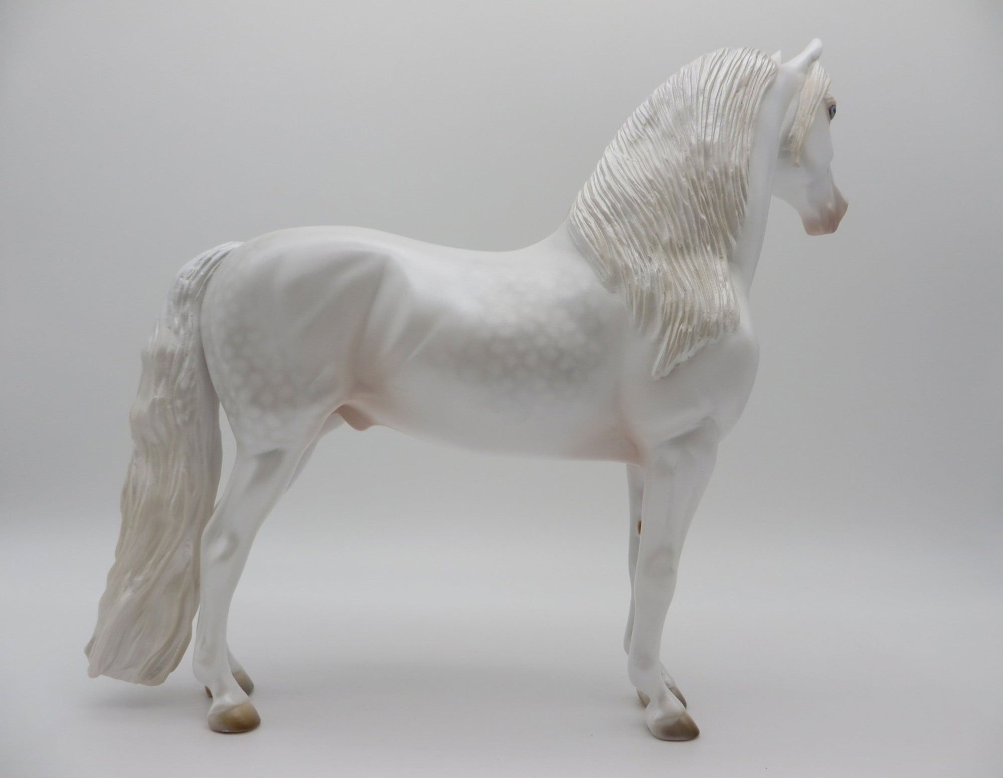 GOLD LOYALTY CLUB-Blanc-LE-66 Dapple White Morgan 3/31/21