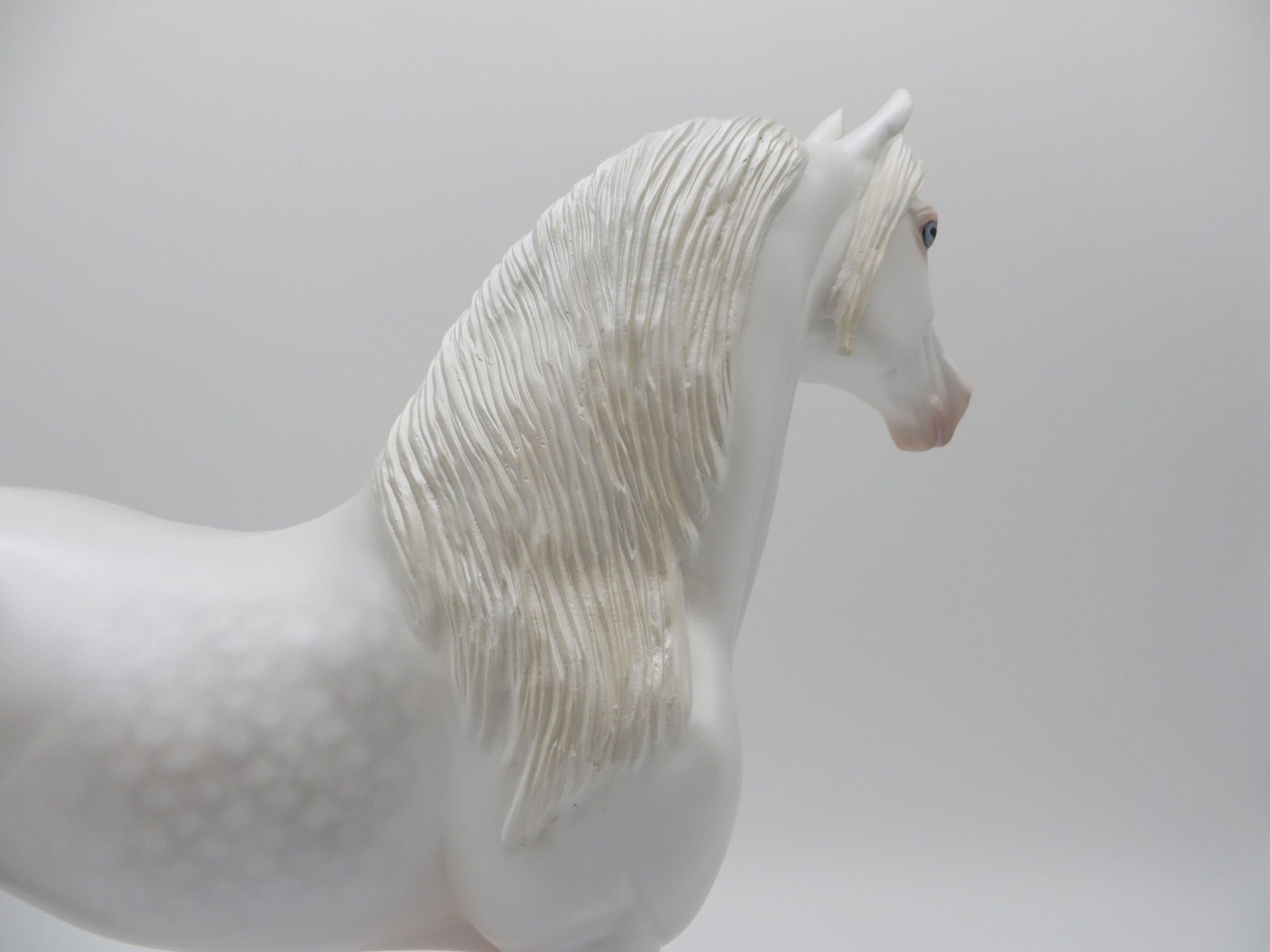 GOLD LOYALTY CLUB-Blanc-LE-66 Dapple White Morgan 3/31/21