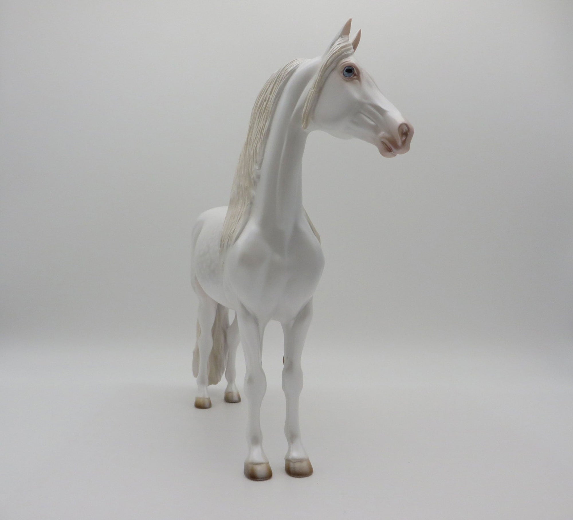 GOLD LOYALTY CLUB-Blanc-LE-66 Dapple White Morgan 3/31/21