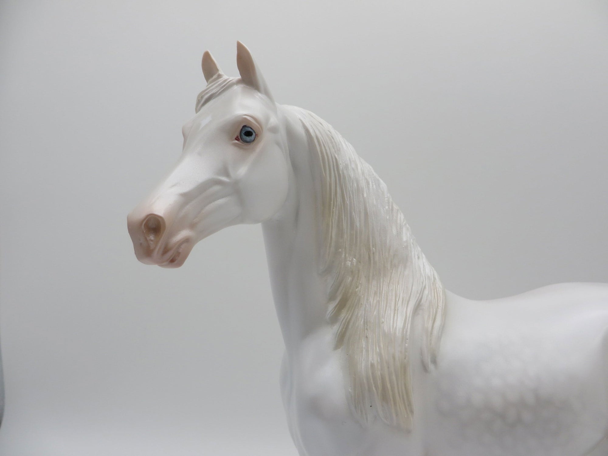 GOLD LOYALTY CLUB-Blanc-LE-66 Dapple White Morgan 3/31/21