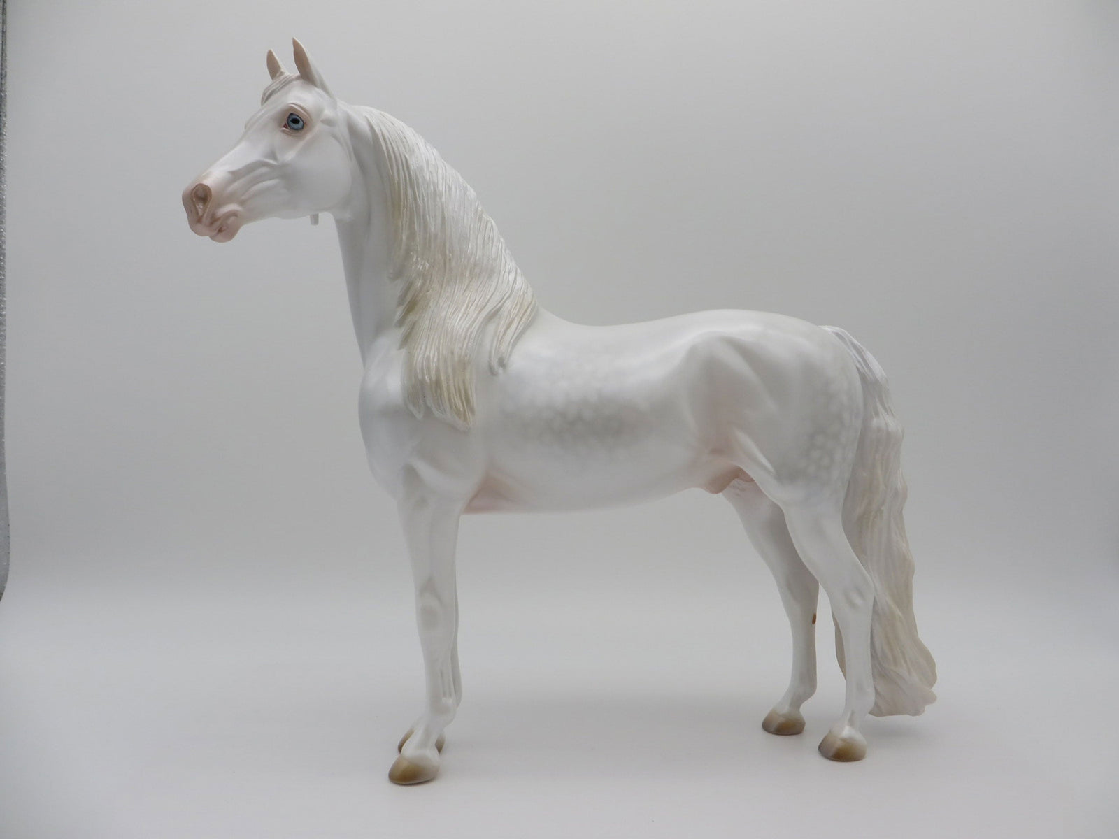 GOLD LOYALTY CLUB-Blanc-LE-66 Dapple White Morgan 3/31/21