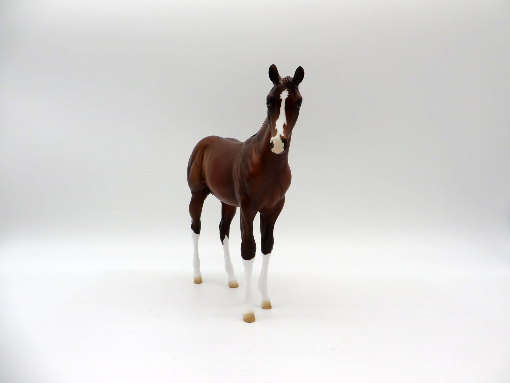 Blaziken-OOAK Chestnut Weanling Painted By Ellen Robbins 5/14/21