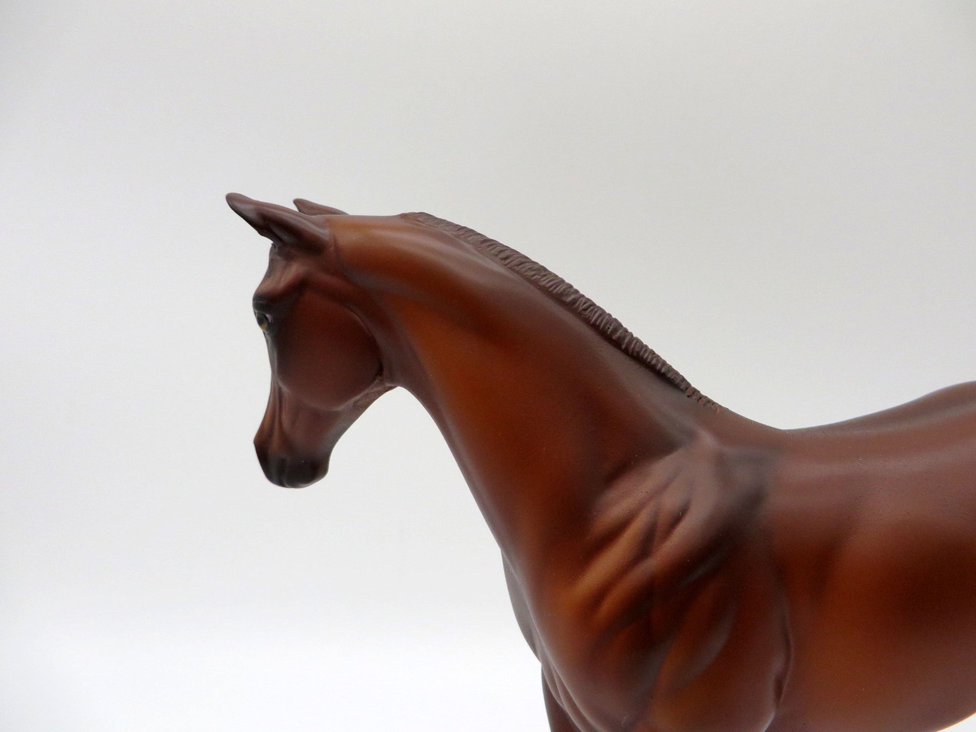 Blaziken-OOAK Chestnut Weanling Painted By Ellen Robbins 5/14/21