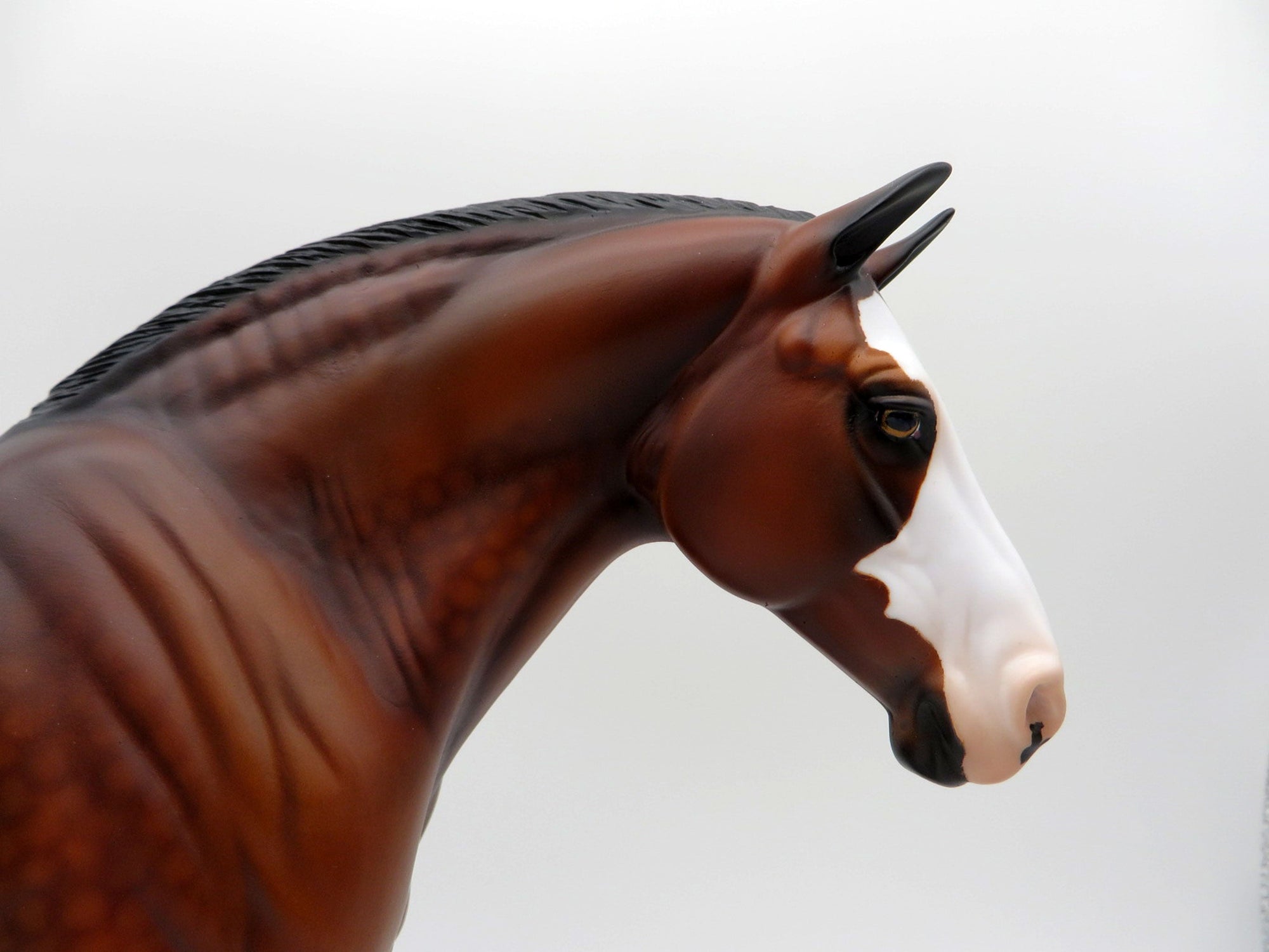 Bloomer-OOAK Dapple Bay Paint Heavy Draft Mare  SHCF 2021