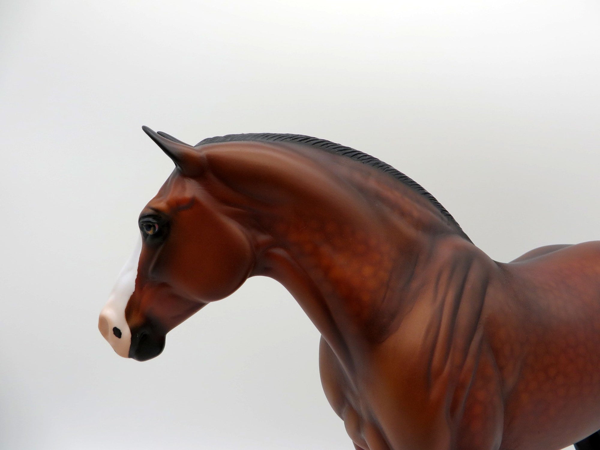 Bloomer-OOAK Dapple Bay Paint Heavy Draft Mare  SHCF 2021