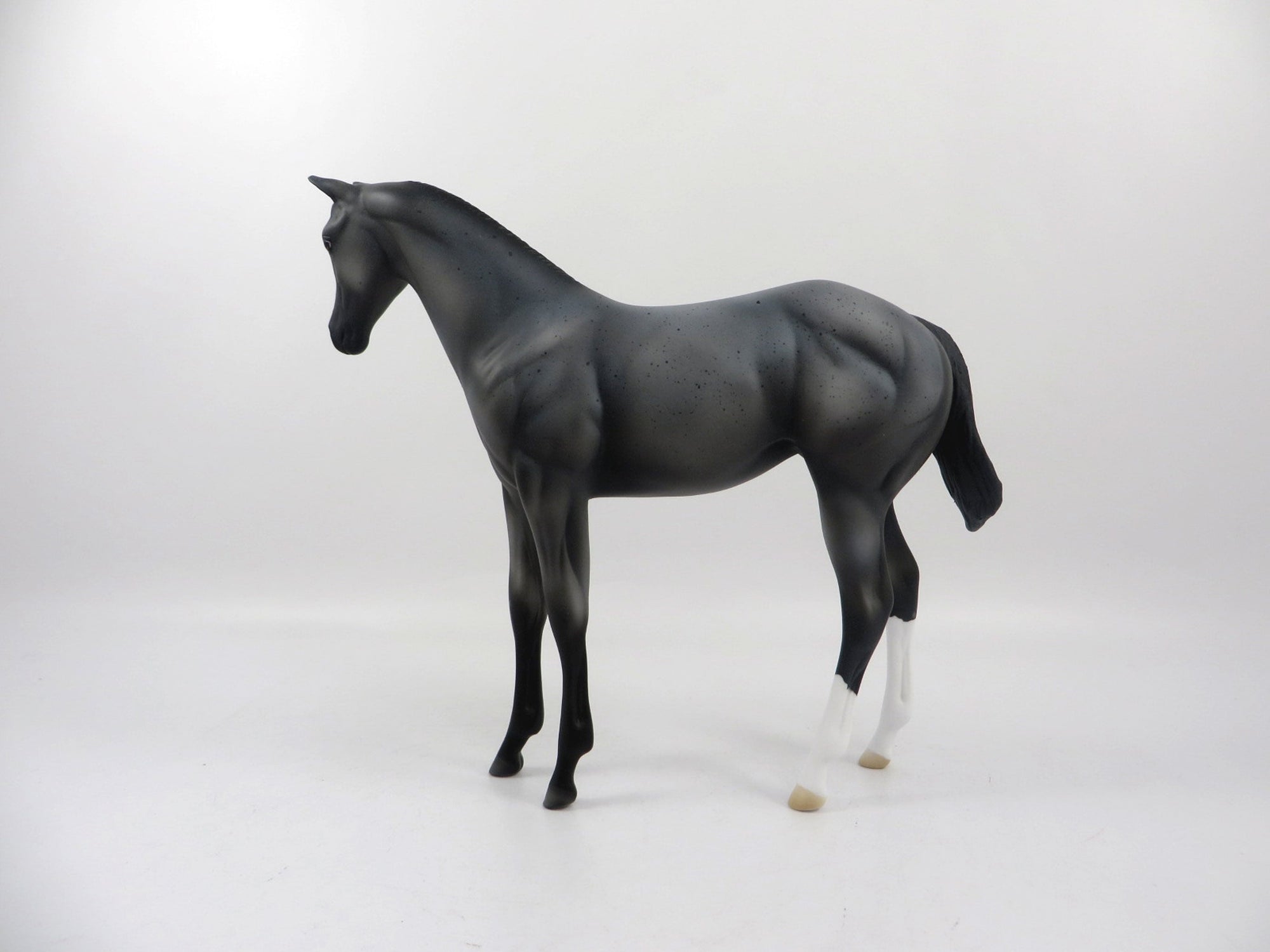 Blue 4 You-OOAK Blue Roan Weanling 2/25/21