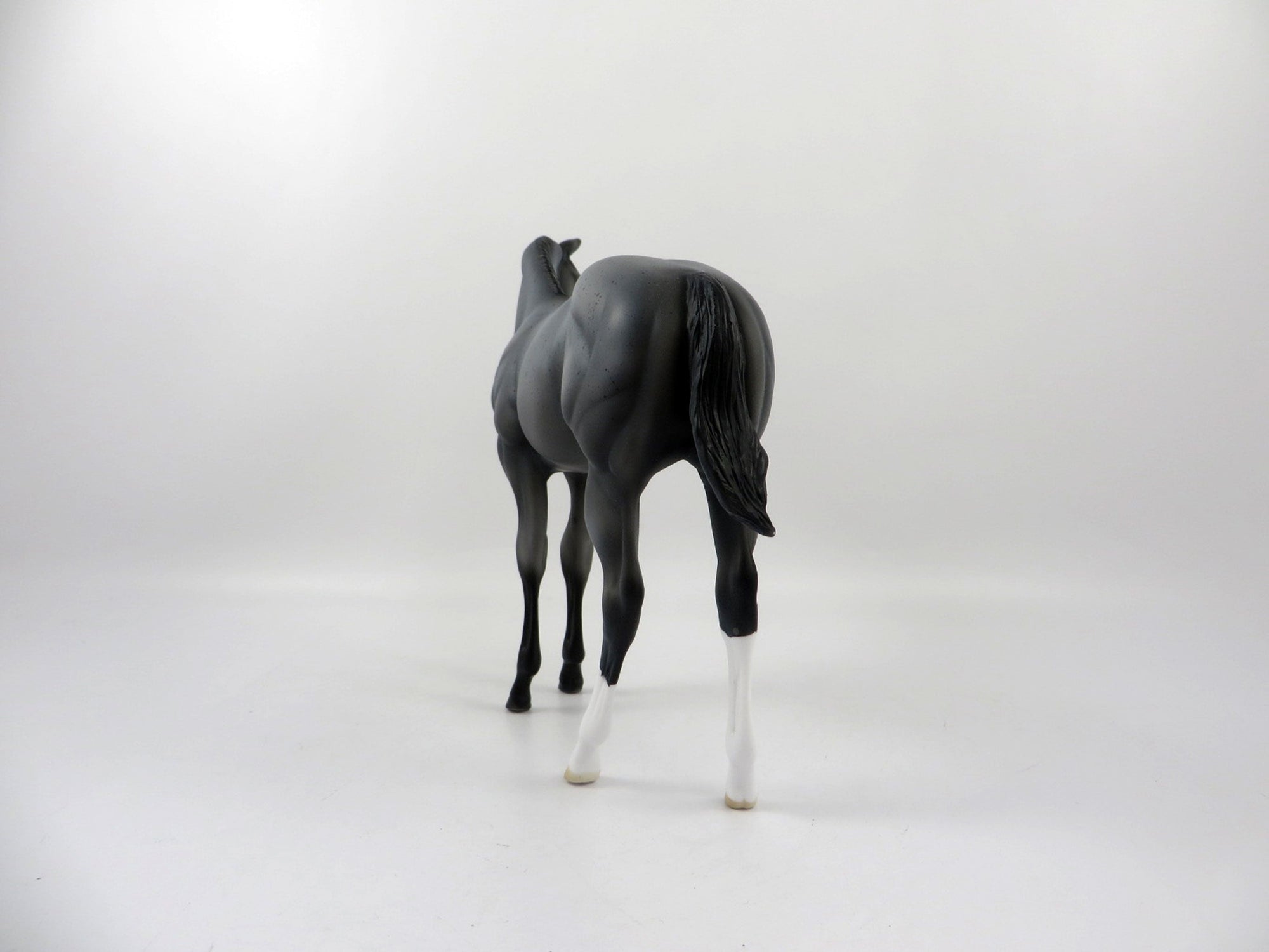 Blue 4 You-OOAK Blue Roan Weanling 2/25/21